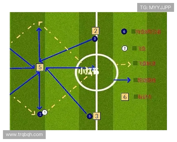 武汉飞盘队的默契配合与战术解析探索飞盘运动的团队精神与协作技巧