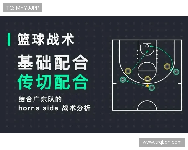 深圳篮球队整体压制战术解析与实战应用探讨
