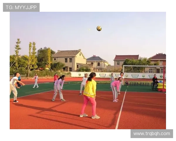 陈军的排球生涯回顾与展望：从赛场到生活的精彩对话